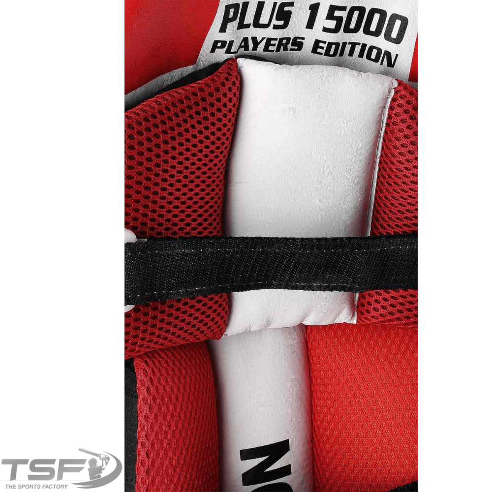 CA Pro 15000 Players Edition Cricket Pads