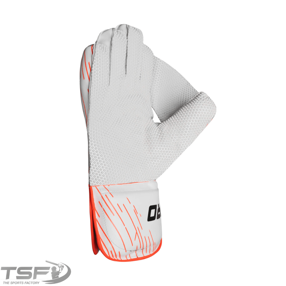 CA Pro 5000 Wicket Keeping Gloves