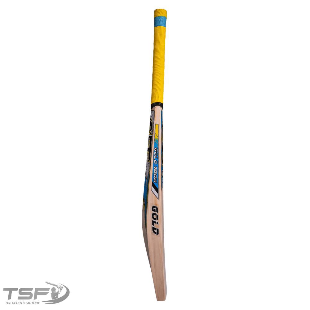 CA Gold 1000 Cricket Bat