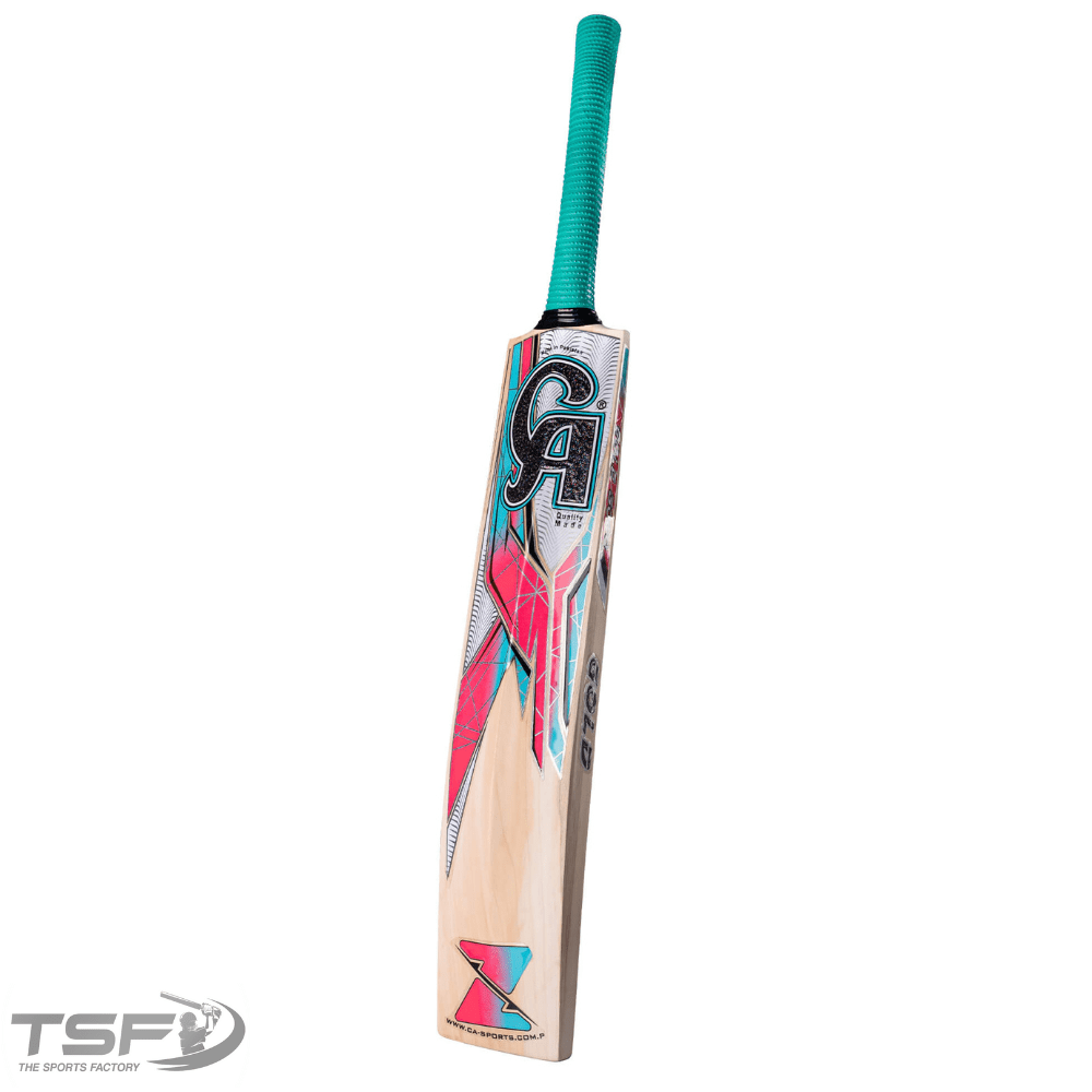 CA Gold 3000 Cricket Bat