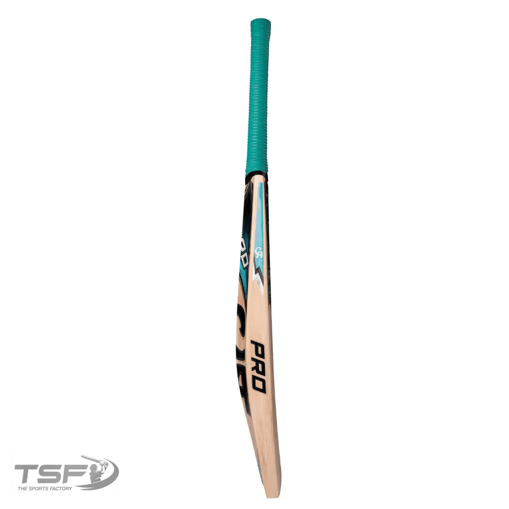 CA Pro 2000 Cricket Bat