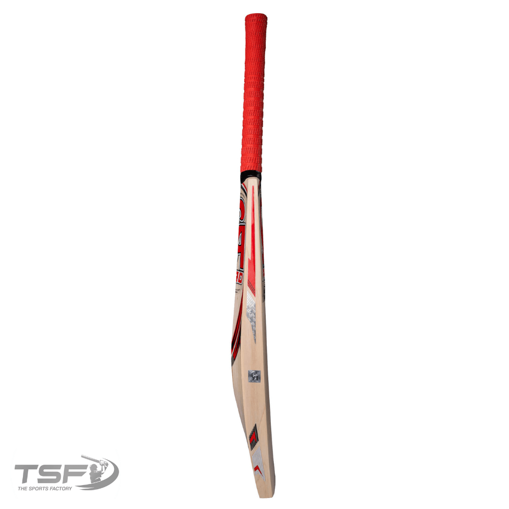 CA Pro Players Edition Cricket Bat