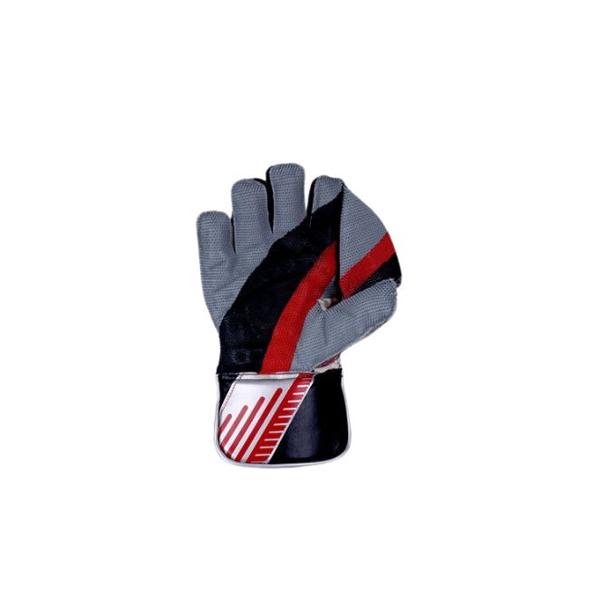 HS 5 Star Wicket keeping Gloves
