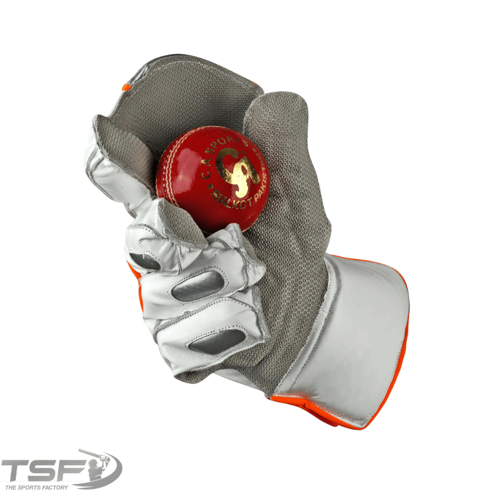 CA Pro 20K Wicket Keeping Gloves