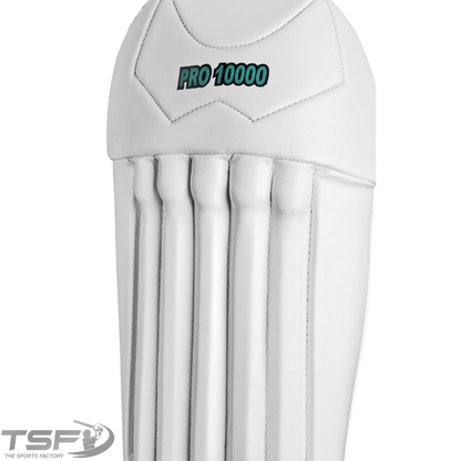 CA PRO 10000 Wicket Keeping Pads